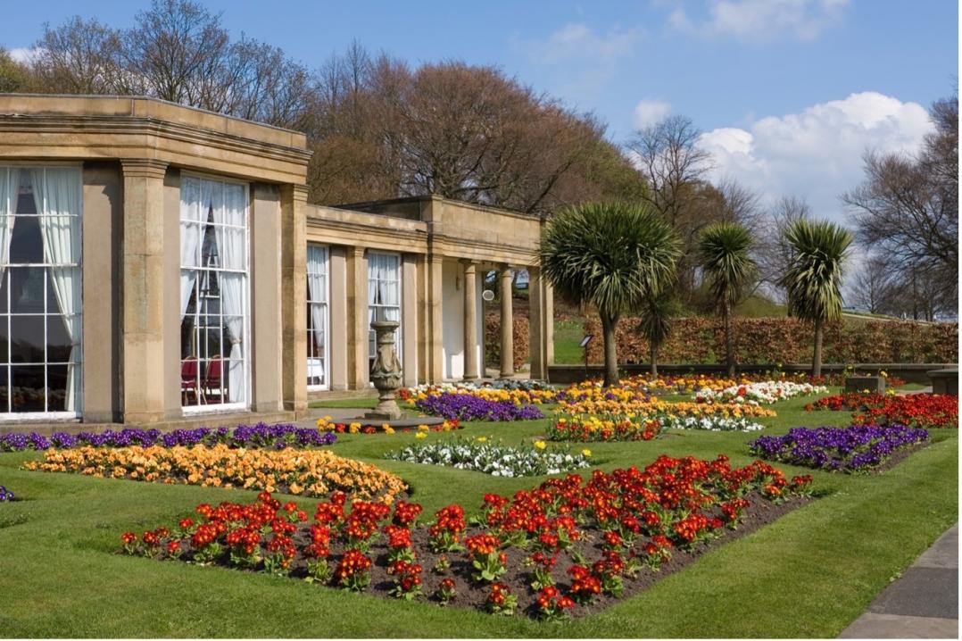A garden with a house in the background