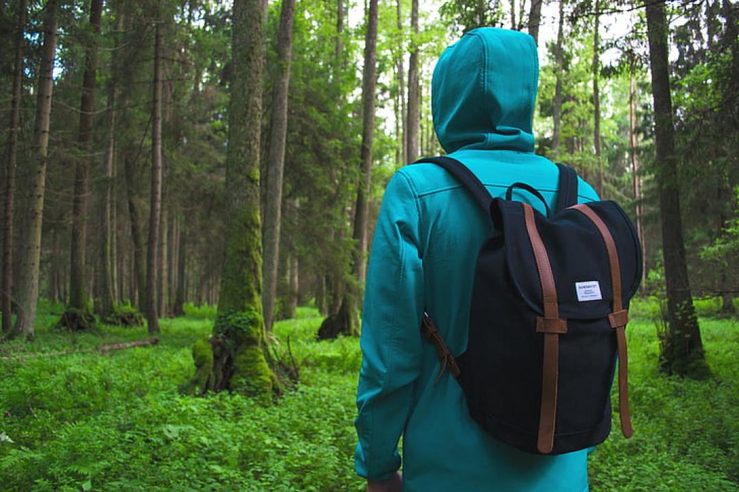 wearing backpack in forest